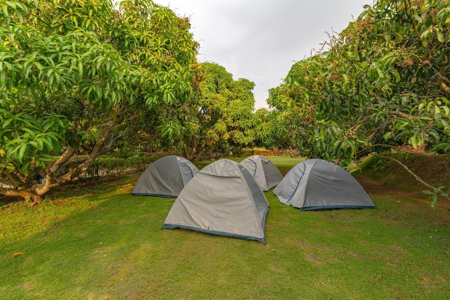 Q Mango Resort Ramanagara Ngoại thất bức ảnh