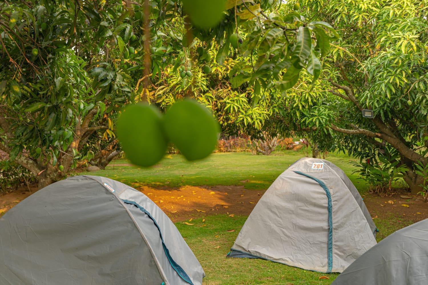 Q Mango Resort Ramanagara Ngoại thất bức ảnh